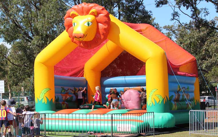 Lion Safari Big Bouncer